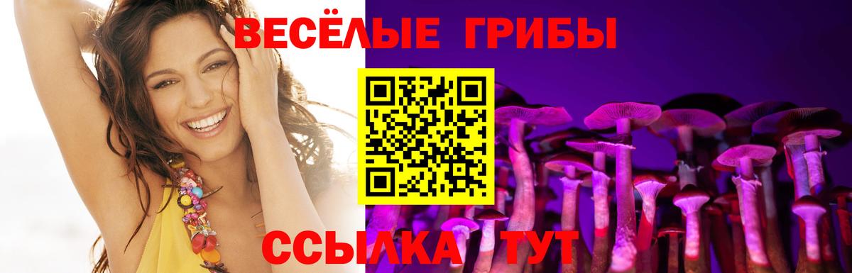 Алексеевка  Псилоцибиновые грибы GOLDEN TEACHER  Вход с VPN 